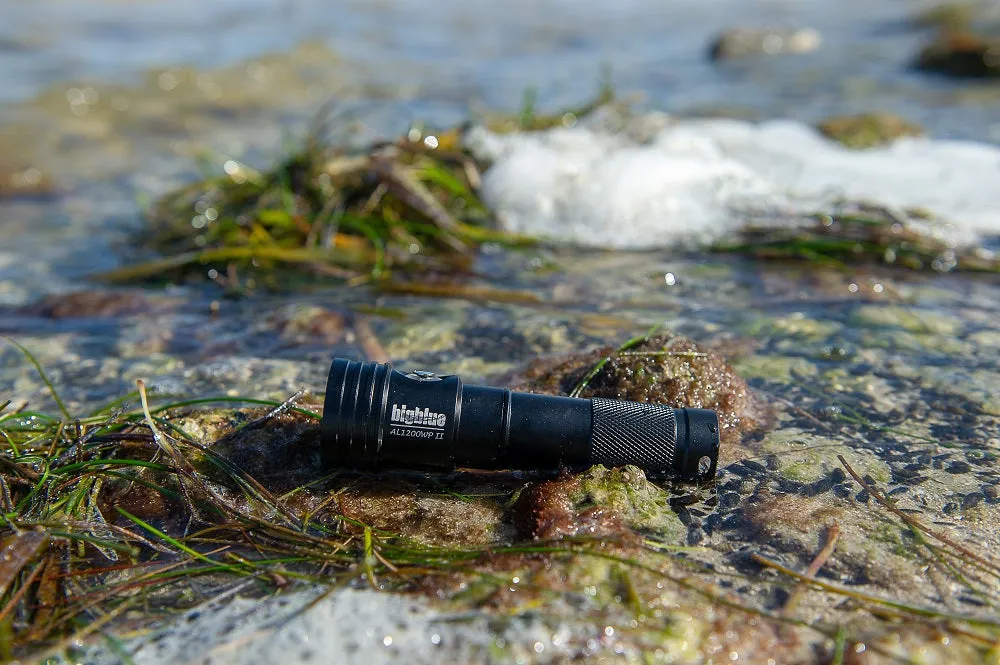 BigBlue 1300 Lumen Wide Beam Light