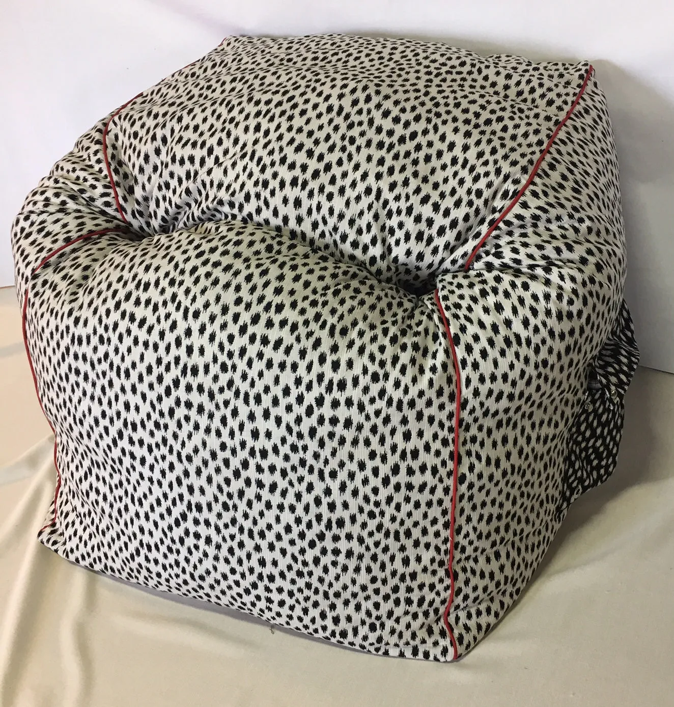 Cube Sac - Fun! Versatile!