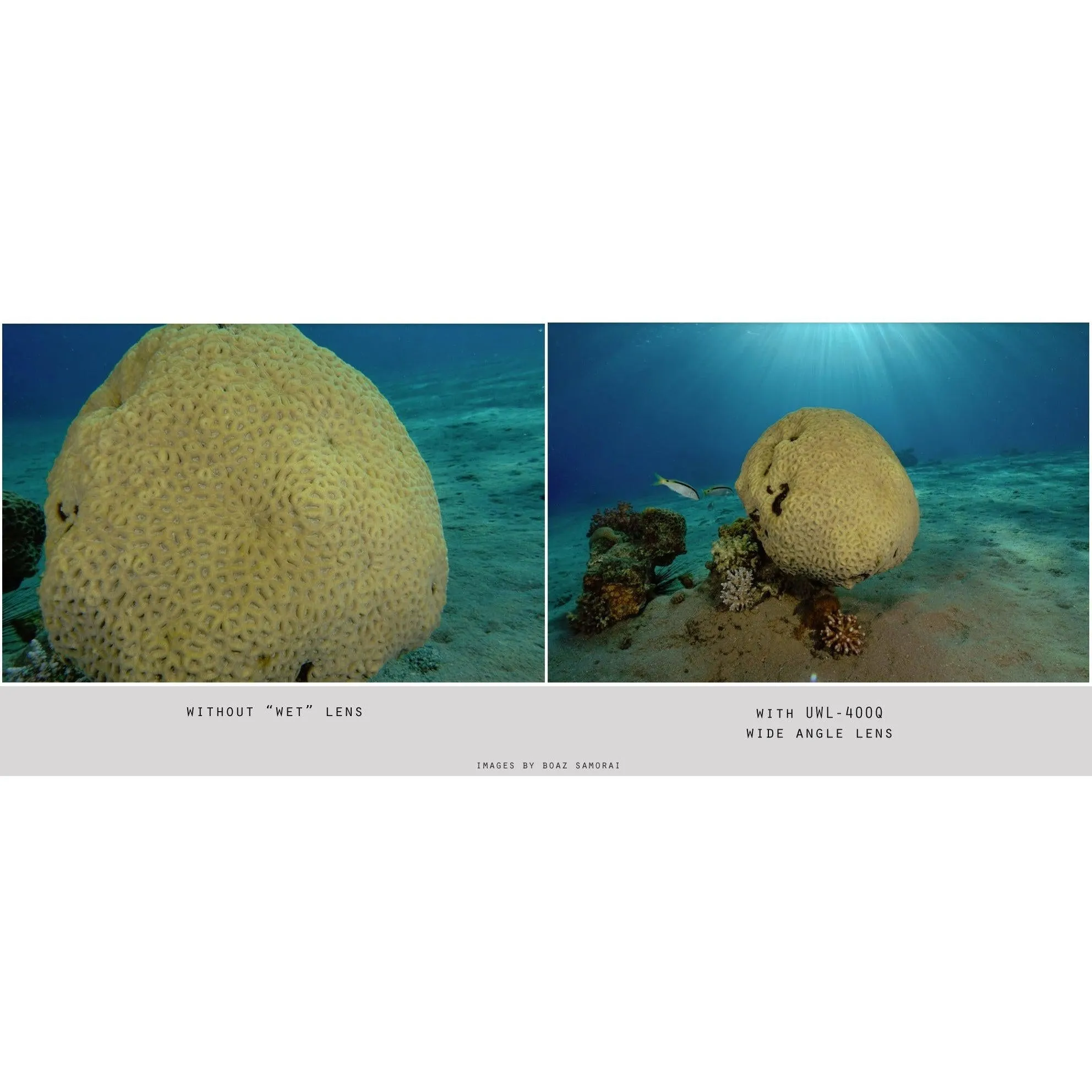 Fantasea UWL-400Q Wide Angle Lens